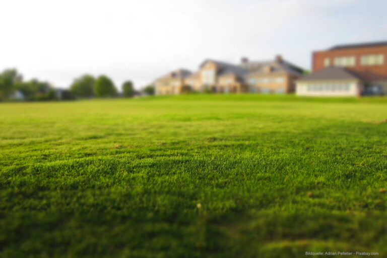 6 wertvolle Tipps für das richtige Düngen Ihres Rasens im Frühjahr