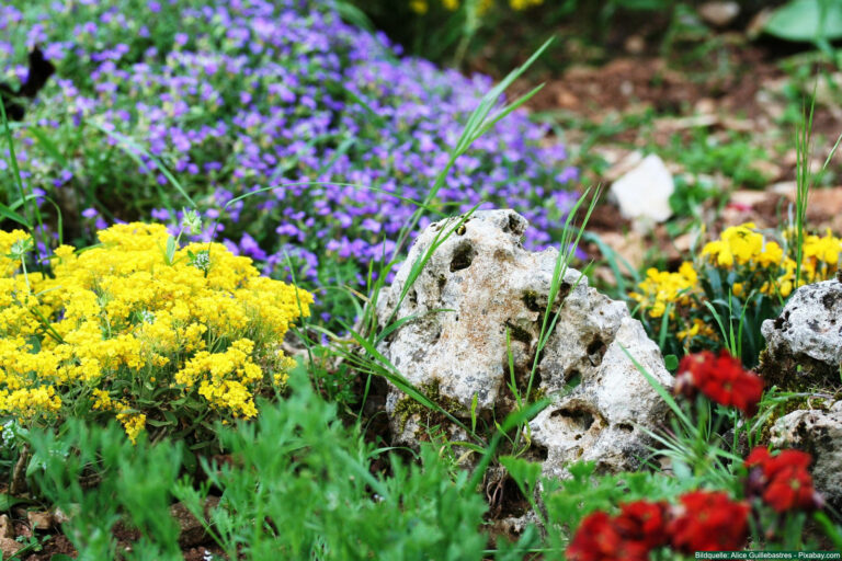 Bodendecker-Garten-besten-Pflanzen-gegen-Unkraut-Pflege