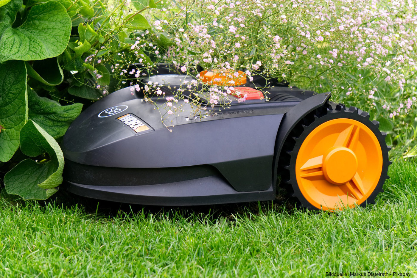 Die-besten-Rasenmaeher-Roboter-2022