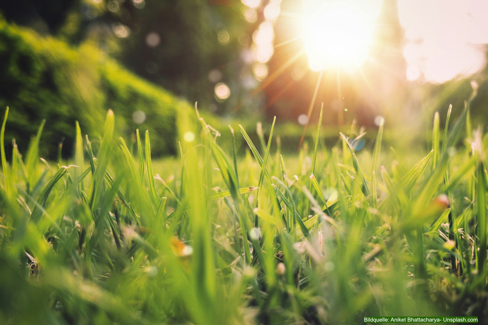 Mit einigen gezielten Arbeiten lässt sich der Garten im Frühling Schritt für Schritt wieder in Form bringen.