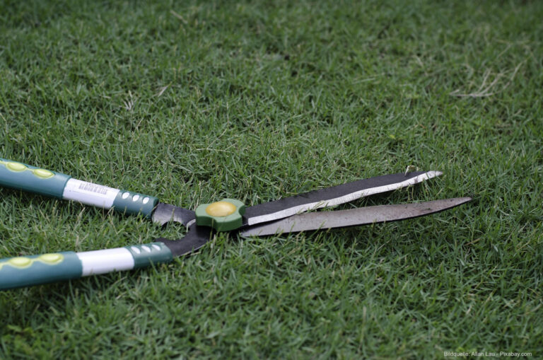 Grasschere: Saubere Rasenkanten mit Hand- oder Akku-Modell