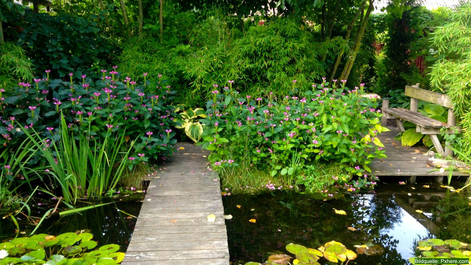 Naturnahen Gartenteich anlegen: Schritt für Schritt zur lebendigen Oase im Garten