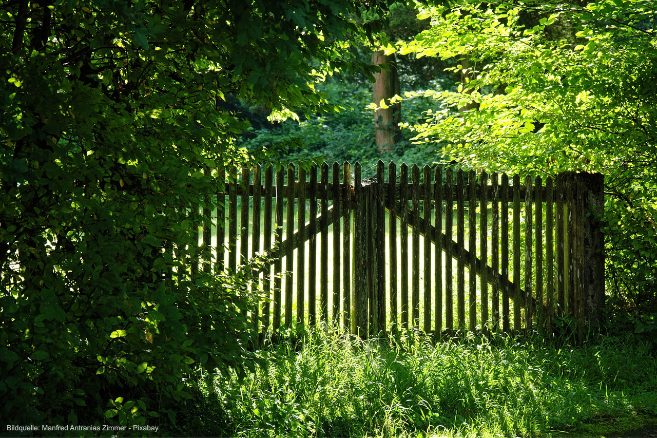 Tipps Gartenzaun-Materialien im Vergleich: Holz, Metall, WPC & Co.