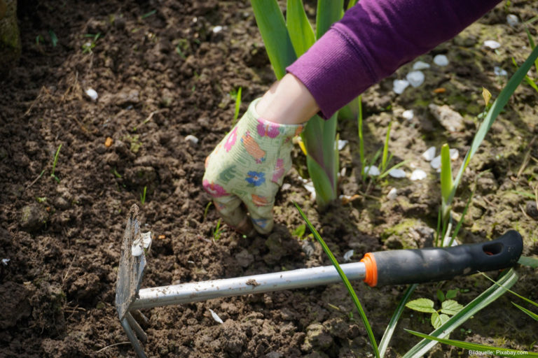 Die besten Tipps zur Unkrautbekämpfung im Garten