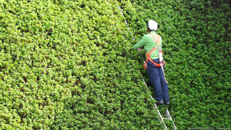 Unfallgefahr im Garten im Herbst