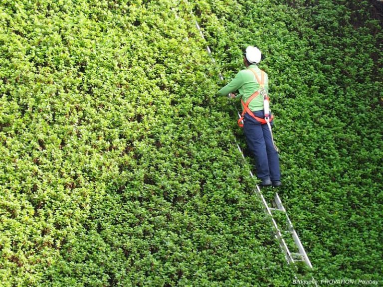 Unfallgefahr im Garten im Herbst