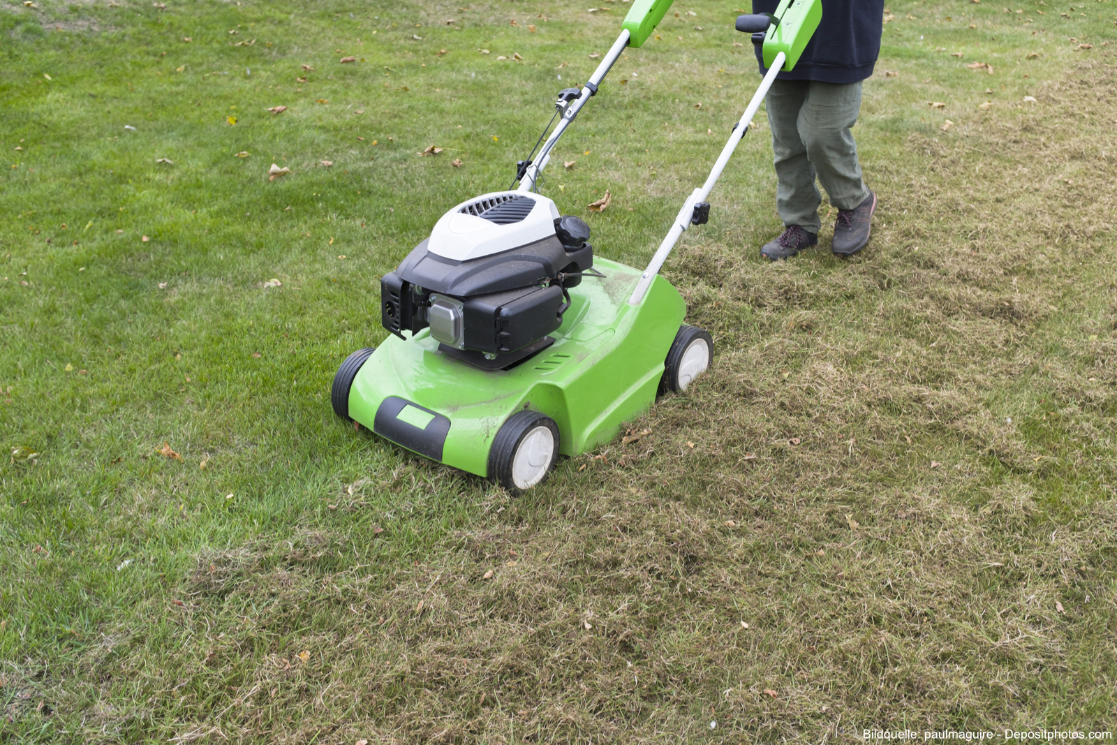 Vertikutierer: Richtige Rasenpflege im Frühjahr