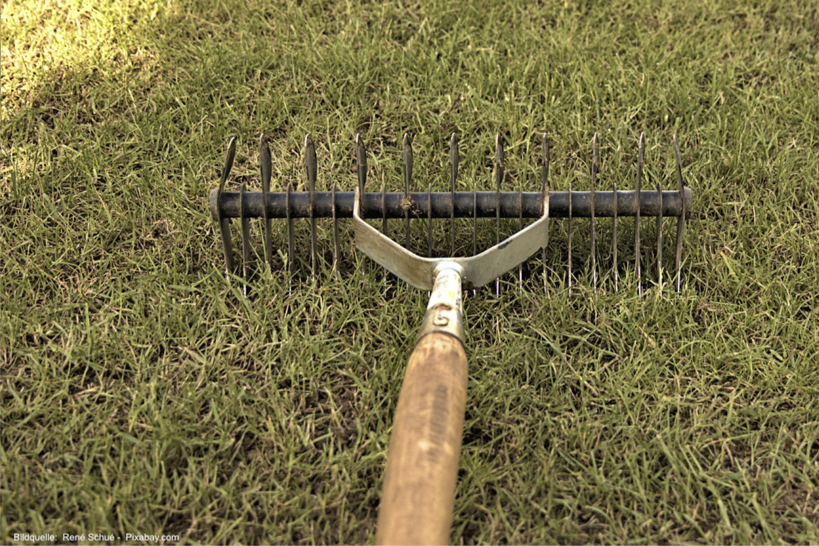 Für kleinere Gärten eignet sich ein Handvertikutierer.