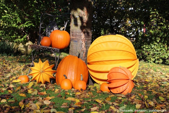 Gartentipps für den Herbst